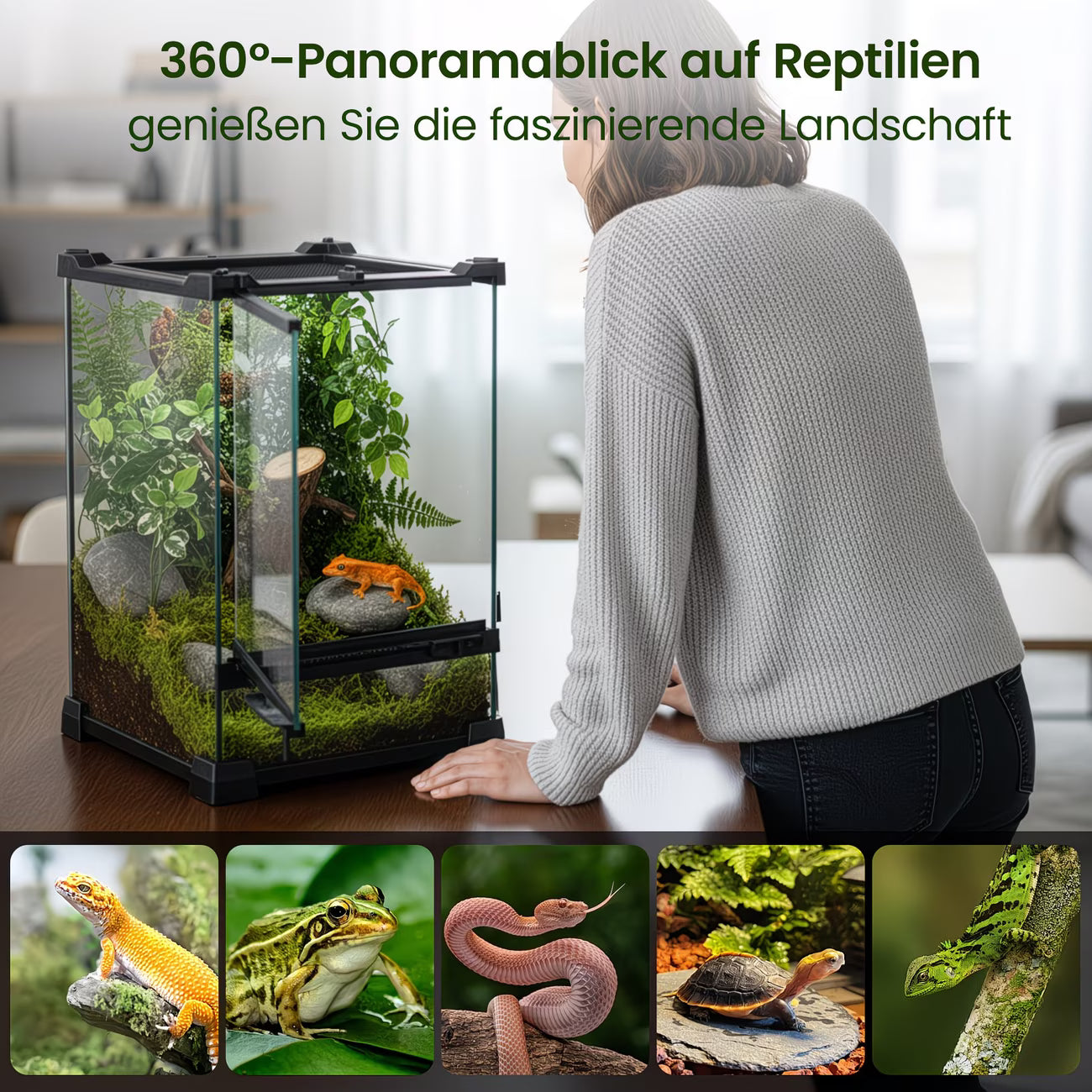 Premium Glass Terrarium for Reptiles & Amphibians