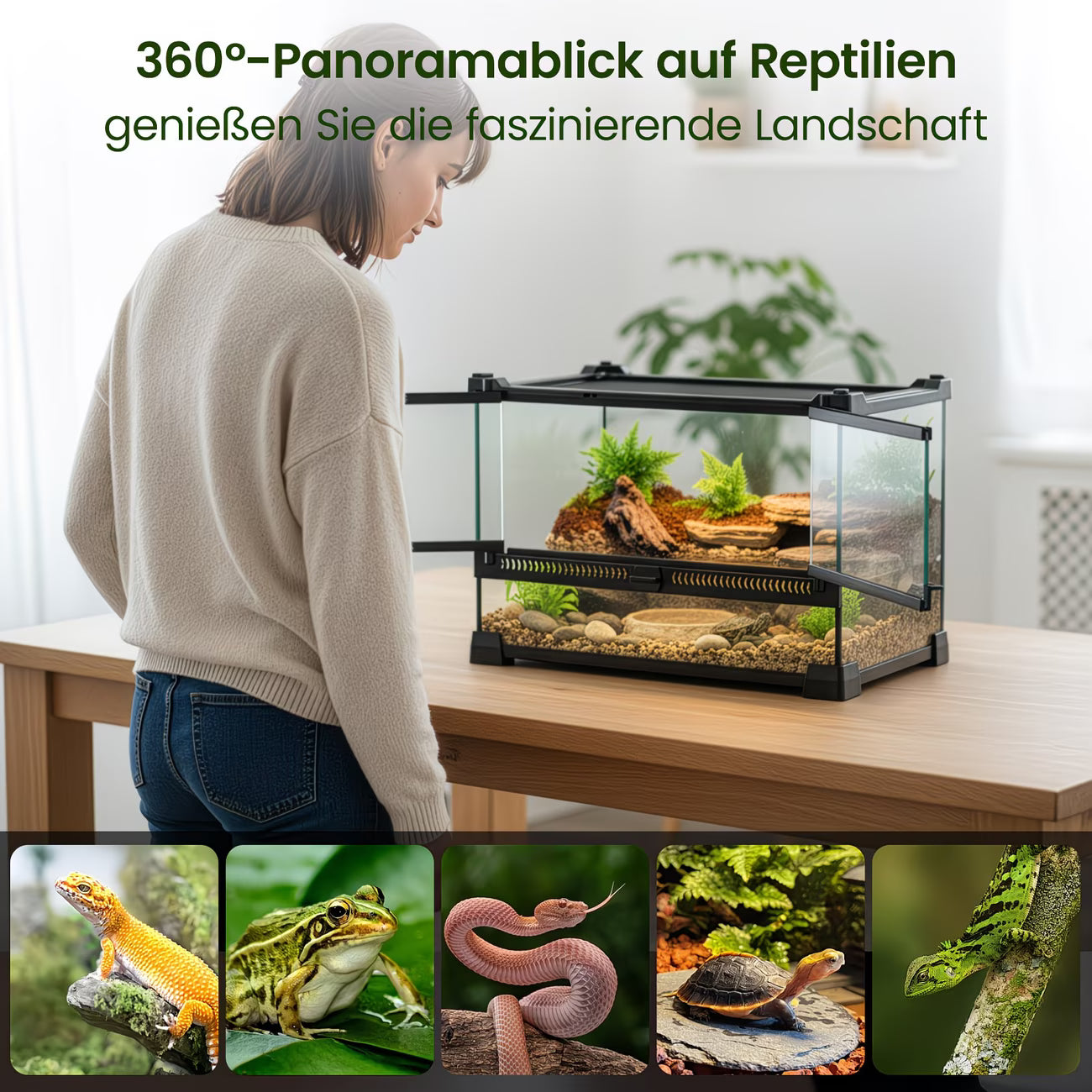 Premium Glass Terrarium for Reptiles & Amphibians