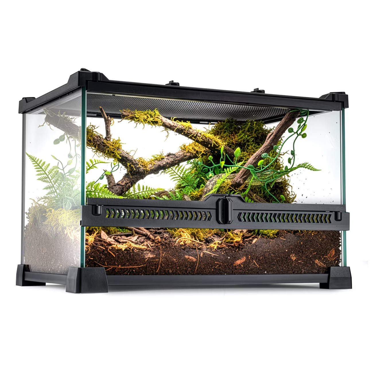 Premium Glass Terrarium for Reptiles & Amphibians