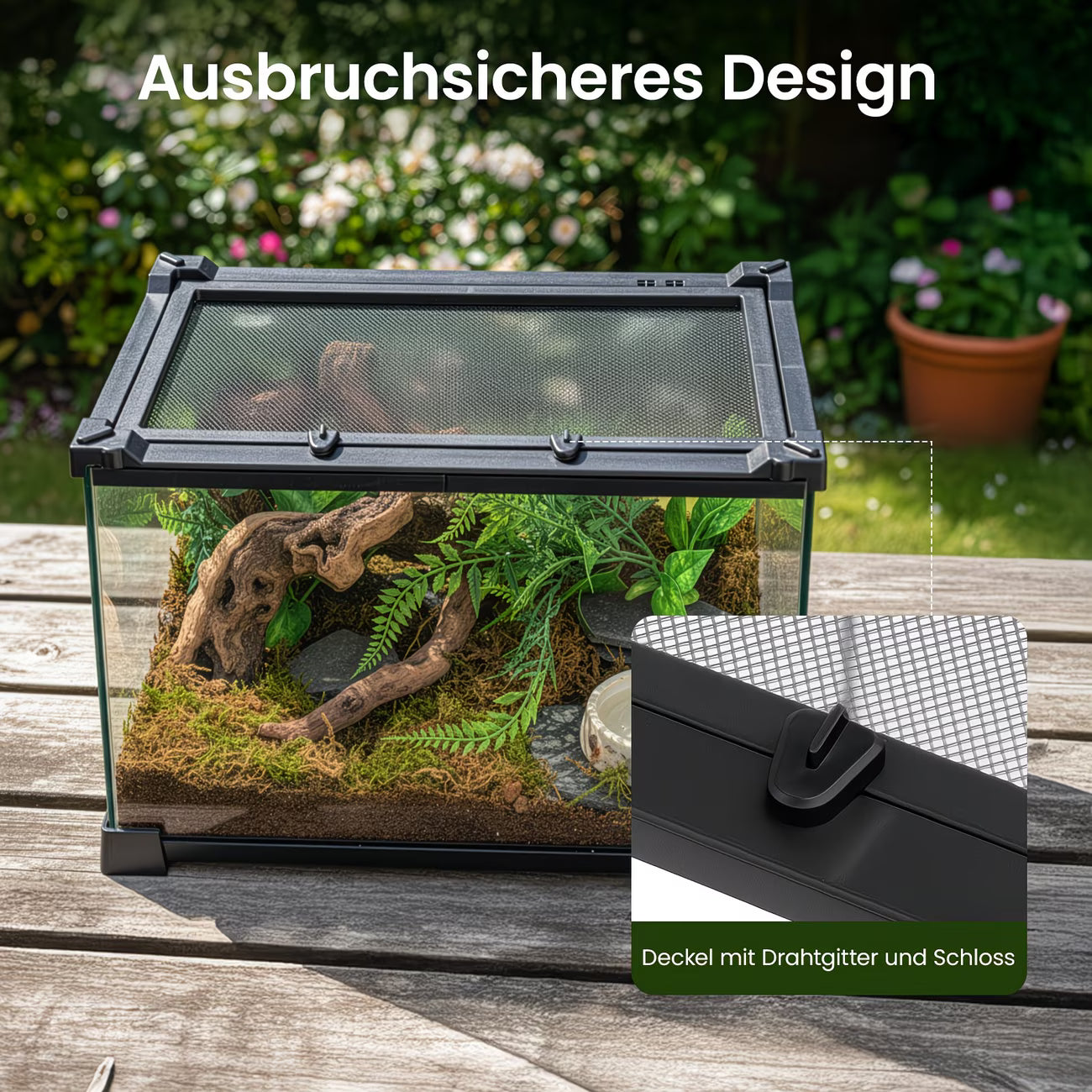Premium Glass Terrarium for Reptiles & Amphibians