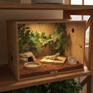 Terrarium en bois naturel – L'alliance parfaite entre confort et élégance