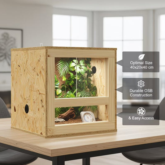 Terrarium en bois naturel – L'alliance parfaite entre confort et élégance
